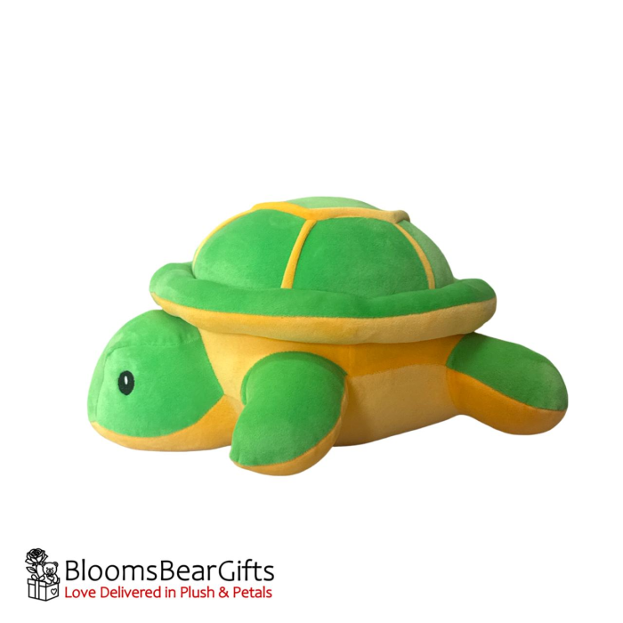 tortoise-m.webp tortoise plush