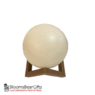 3d-moon-light-small-switch-off