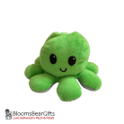 octopus-green-grey-1