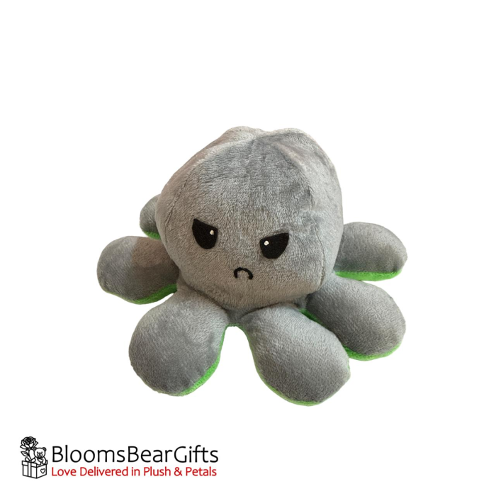 octopus-green-grey-2