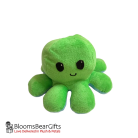 octopus-green-light-blue-1