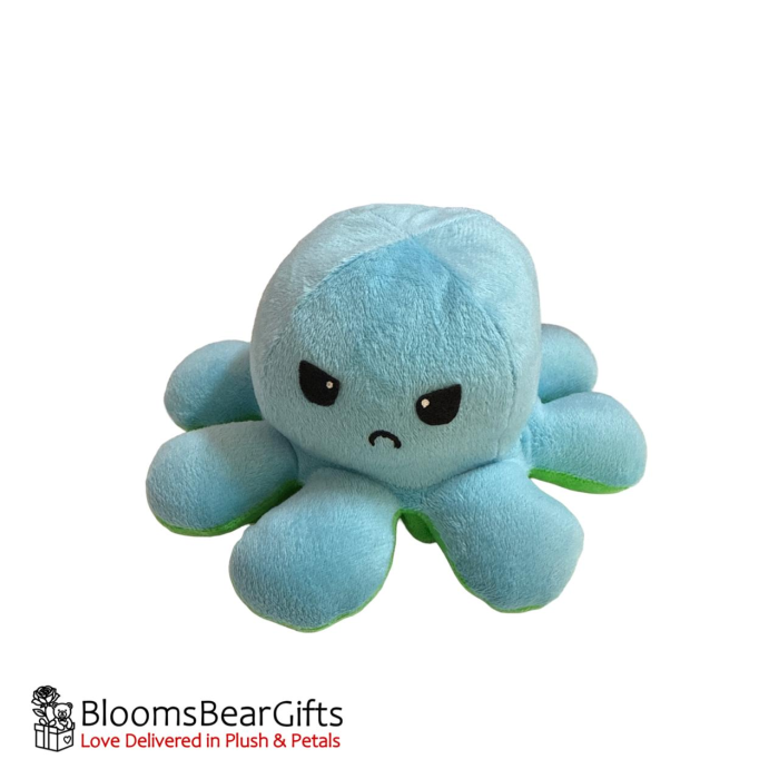 octopus-green-light-blue-2