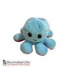 octopus-red-light-blue-1