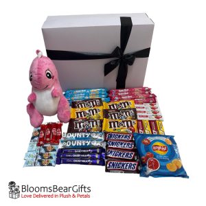 Cuddle-crunch-deluxe-dino-gift-box-premium- plush-chocolate-hamper-1