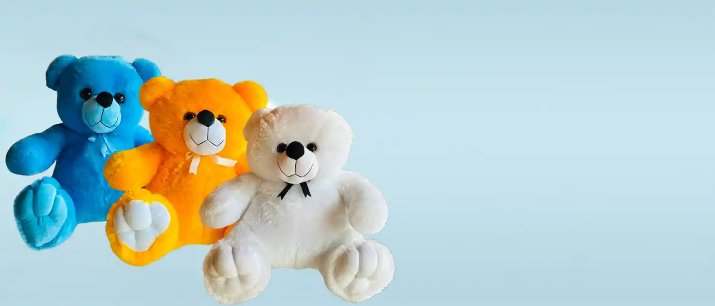 main-banner-teddy-bbg